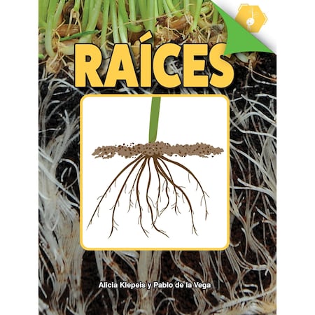 Discovery Library Roots, Spanish Version, Hardcover 9781731654472